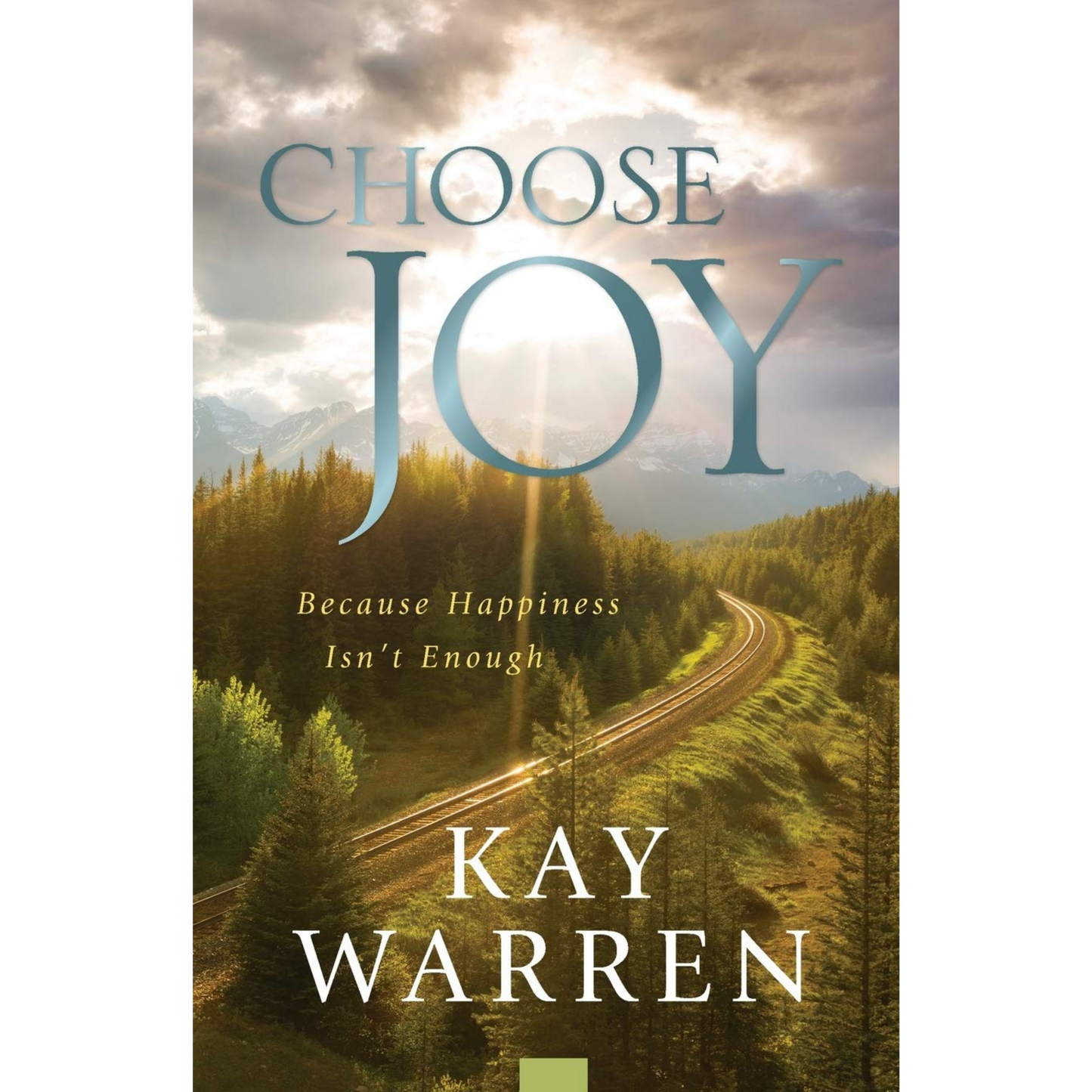 Choose Joy: Because Happiness Isn't Enough