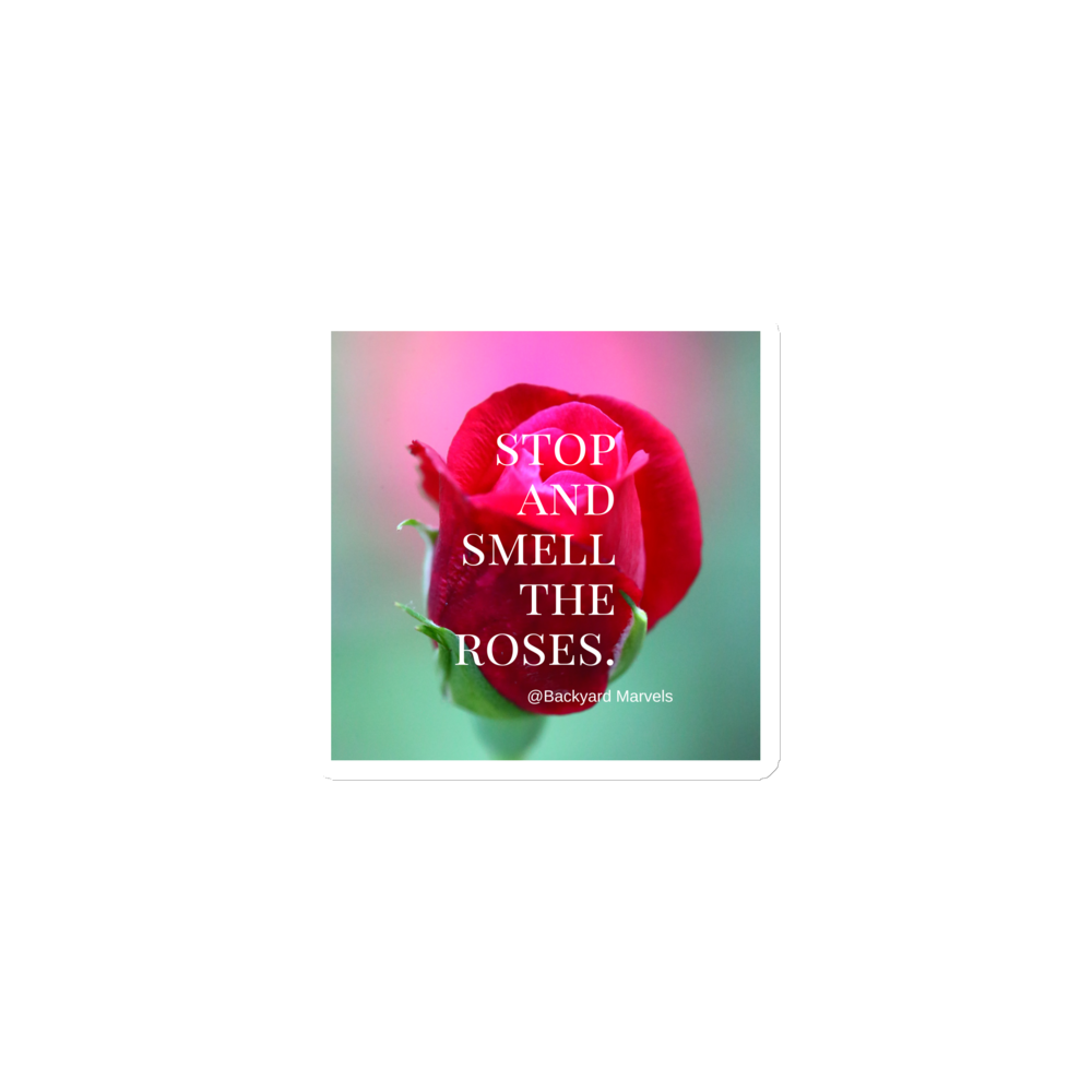 "Stop And Smell The Roses" @Backyard Marvels Magnet