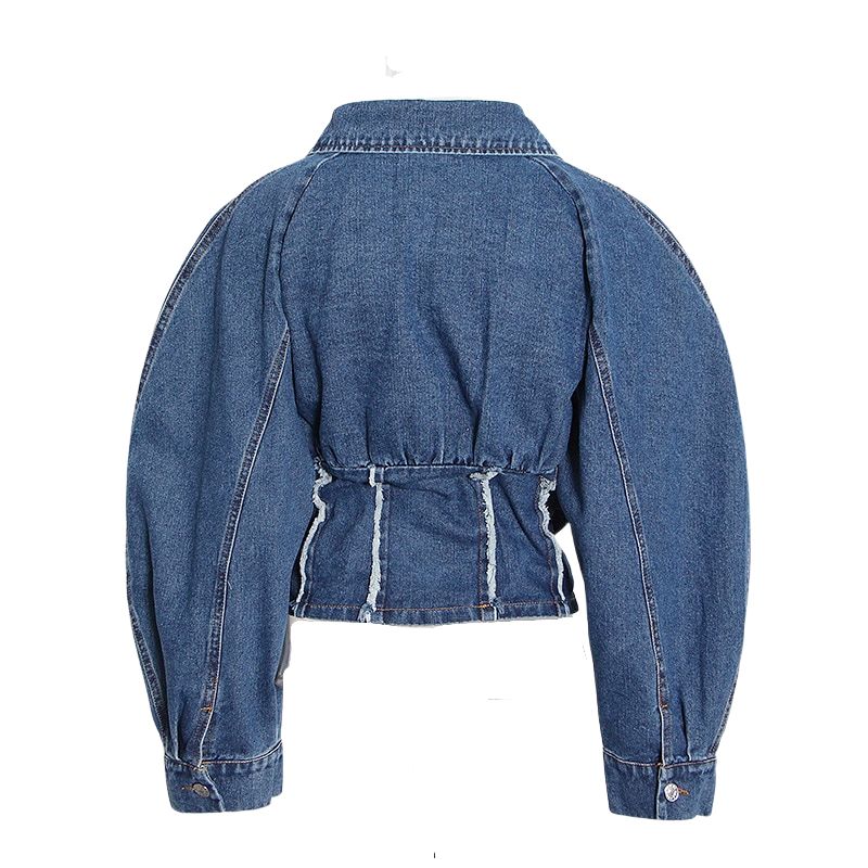 Cropped Denim Jacket-Blue