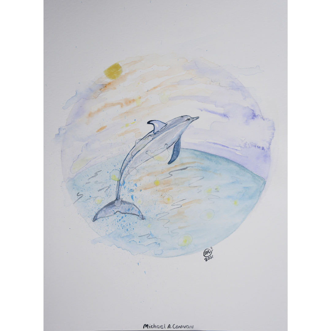 0407 Dolphin