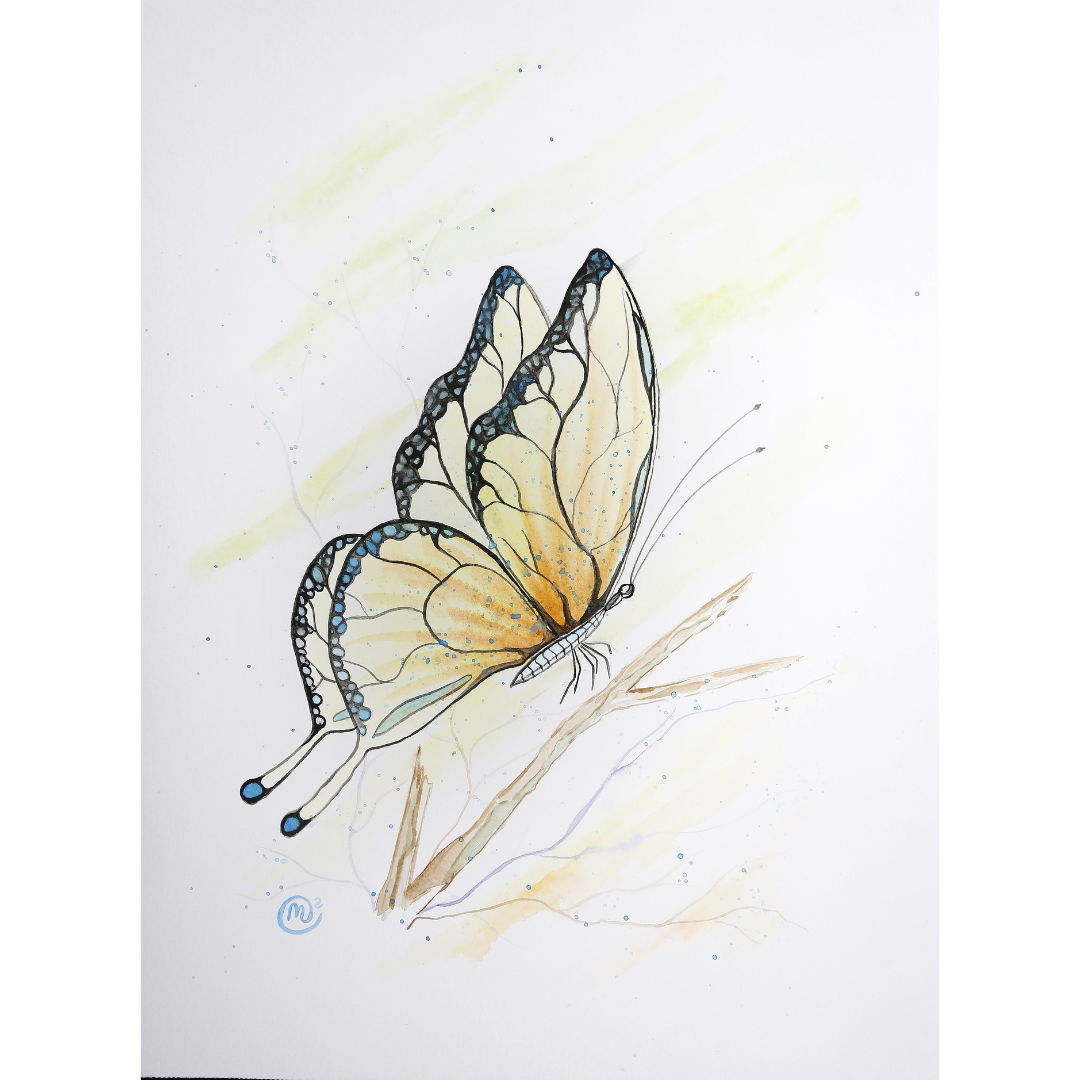 0421 Butterfly