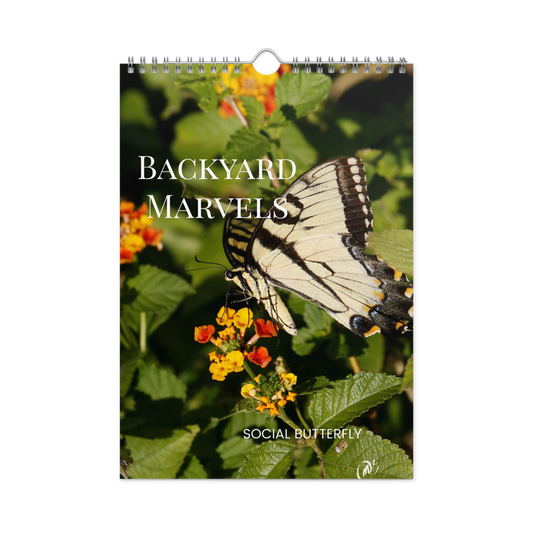 Backyard Marvels Social Butterfly Wall Calendar (2025)